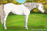 Horse Color:Perlino Dun Tobiano