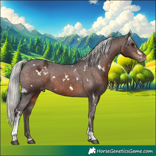 Horse Color:White Spotted Silver Brown Tobiano Appaloosa 