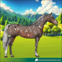 Horse Color:White Spotted Silver Brown Tobiano Appaloosa 