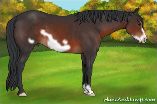 Horse Color:Brown Frame 