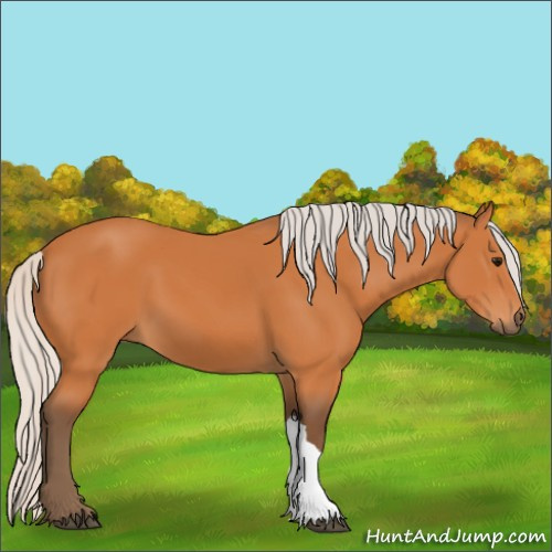 Horse Color:Silver Bay 