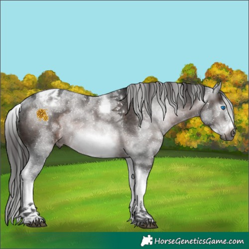 Horse Color:Gray White Spotted Brown Tobiano Frame Appaloosa Rabicano 