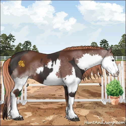 Horse Color:Liver Chestnut Tobiano Rabicano  and Liver Chestnut Splash 