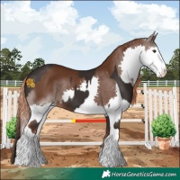 Horse Color:Liver Chestnut Tobiano Rabicano  and Liver Chestnut Splash 