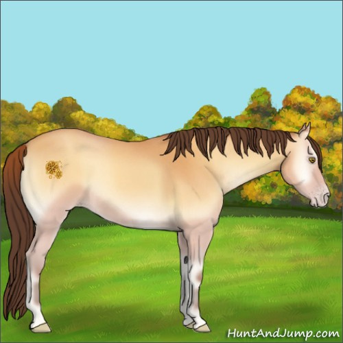 Horse Color:Sable Cream Champagne Roan Onyx 