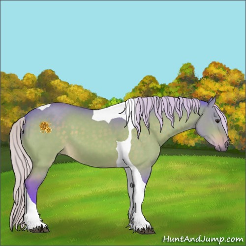 Horse Color:Watercolor Silver Bay Dun Tobiano 