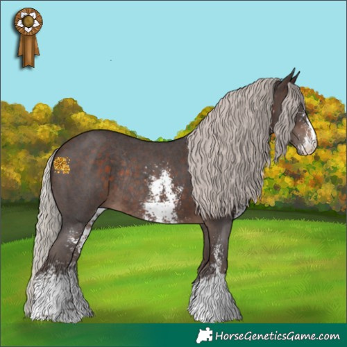 Horse Color:Silver Brown Sabino Rabicano 