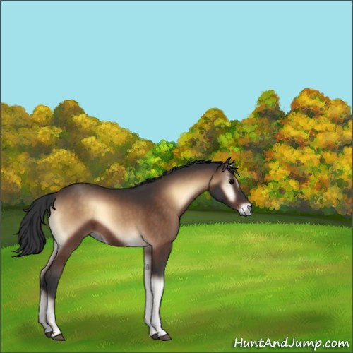 Horse Color:Brown Onyx Tobiano 