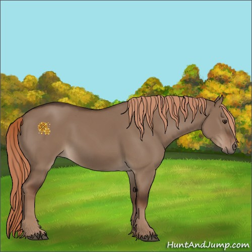 Horse Color:Liver Red Dun 