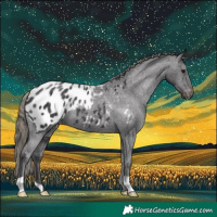 Horse Color:Smoky Black Blanket 