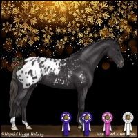 Horse Color:Smoky Black Appaloosa 