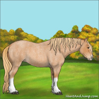 Horse Color:Red Roan Splash Frame 