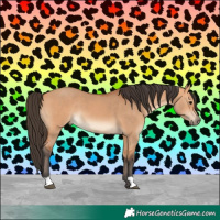 Horse Color:Bay Dun