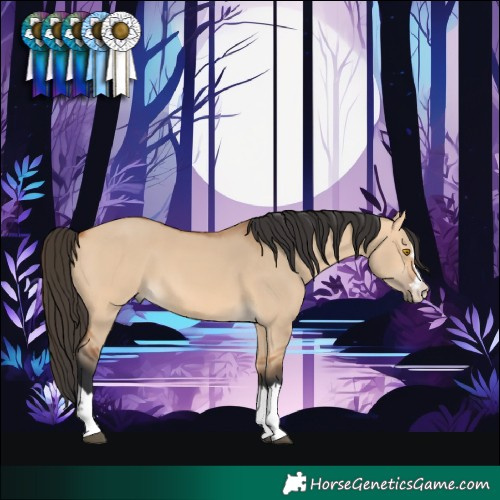 Horse Color:Bay Dun 