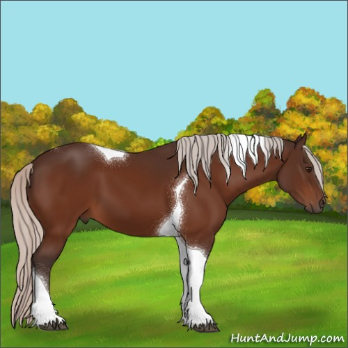Horse Color:Silver Brown Tobiano 