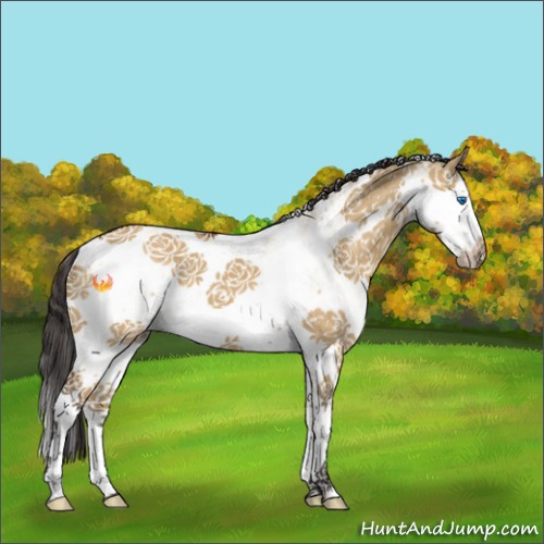 Horse Color:White Spotted Buckskin Dun Splash Tobiano 