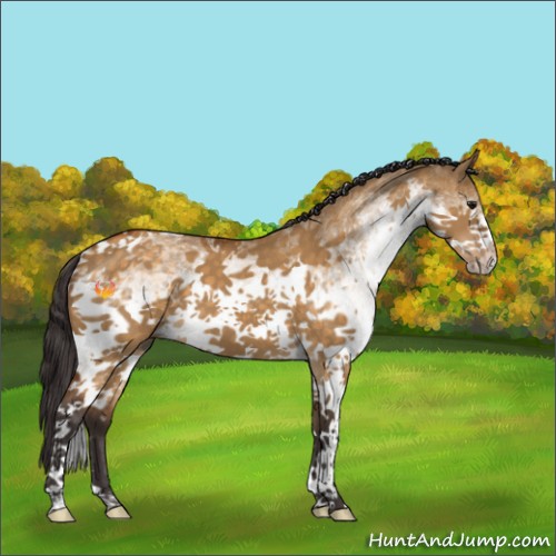Horse Color:White Spotted Buckskin Dun Tobiano