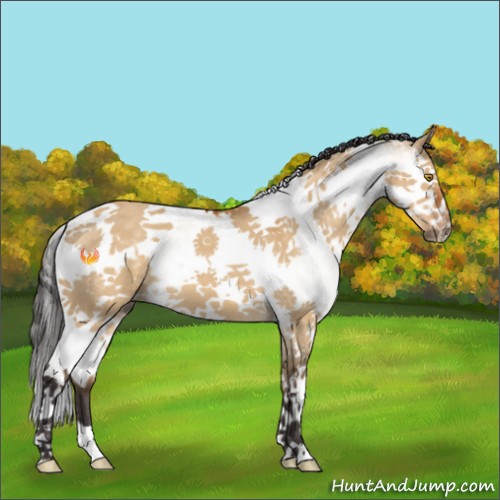 Horse Color:White Spotted Buckskin Dun Splash Tobiano