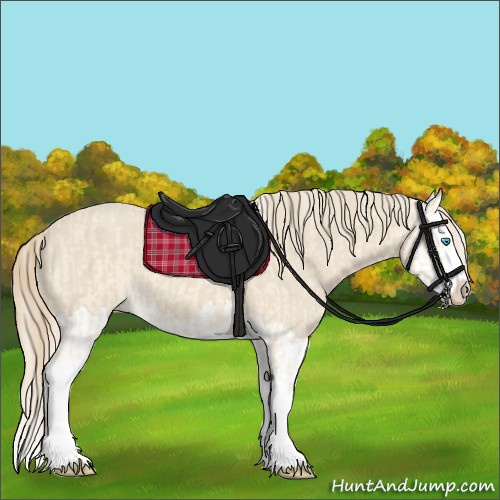 Horse Color:Cremello Splash and Smoky Creme Splash