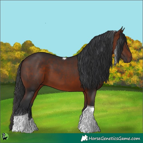 Horse Color:Bay Tobiano 