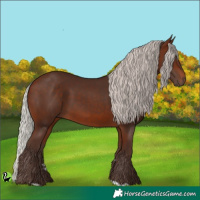 Horse Color:Silver Brown 