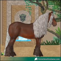 Horse Color:Silver Brown 