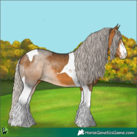 Horse Color:White Spotted Silver Buckskin Tobiano