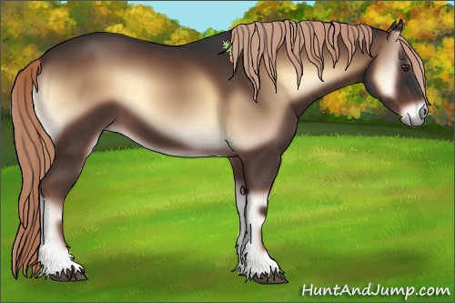 Horse Color:Liver Red Onyx 