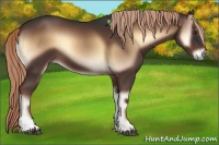 Horse Color:Liver Red Onyx 