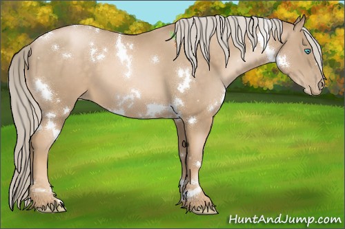 Horse Color:White Spotted Chocolate Palomino Pearl 