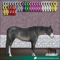 Horse Color:Black Sabino Rabicano