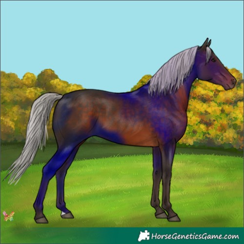 Horse Color:Silver Brown 