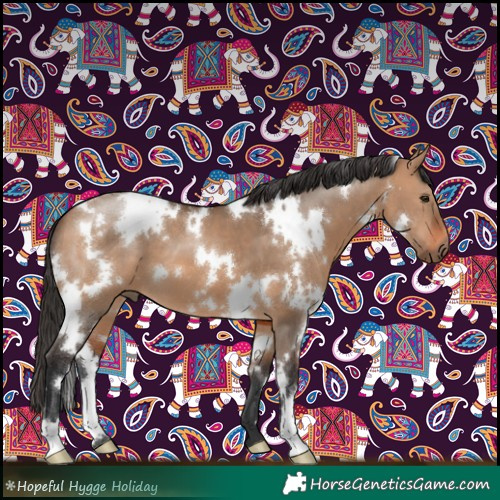Horse Color:White Spotted Bay Dun 