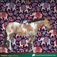 Horse Color:White Spotted Bay Dun