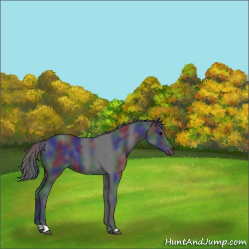 Horse Color:Nacre Black 