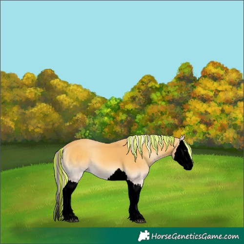 Horse Color:Void Painted Palomino Onyx Splash