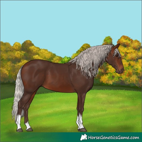 Horse Color:Silver Brown Tobiano