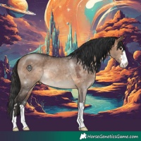 Horse Color:Brown Dun 