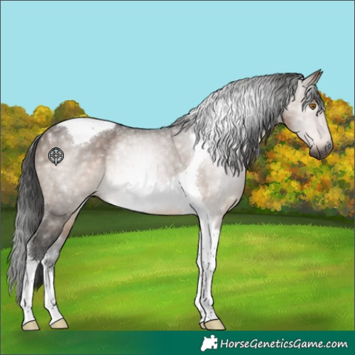 Horse Color:Gray Bay Dun Tobiano 