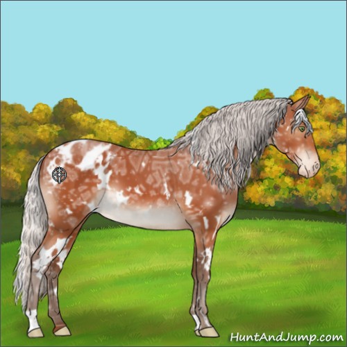 Horse Color:White Spotted Silver Bay Ice Appaloosa 
