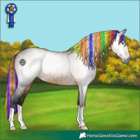 Horse Color:Gray Painted Bay Dun 