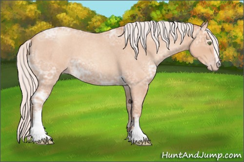 Horse Color:White Spotted Silver Amber Champagne Ice Roan 