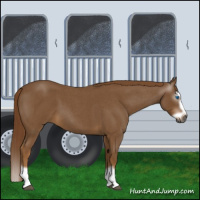 Horse Color:Gray Red Roan Splash Frame 
