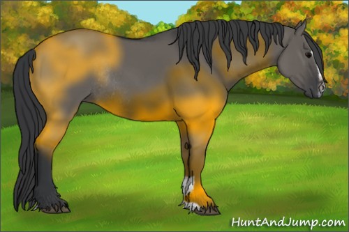 Horse Color:Grullo Sabino Rabicano 