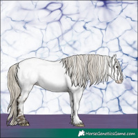 Horse Color:White Spotted Silver Buckskin Dun Near Fewspot 