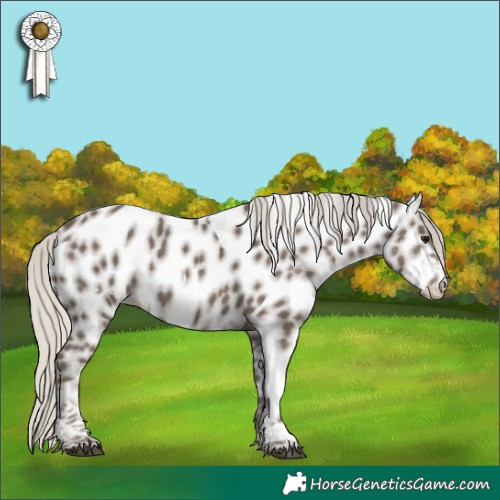 Horse Color:White Spotted Silver Smoky Black Tobiano Near Leopard 