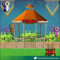 Horse Color:White Spotted Liver Red Dun Appaloosa 