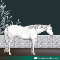 Horse Color:White Spotted Silver Brown Appaloosa 
