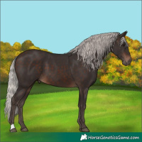 Horse Color:Silver Brown 