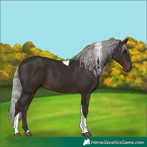 Horse Color:Silver Brown Tobiano 